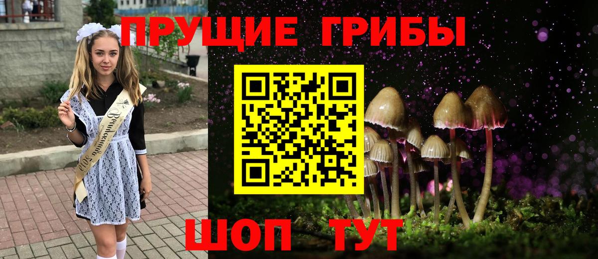 Псилоцибиновые грибы ЛСД Дубна